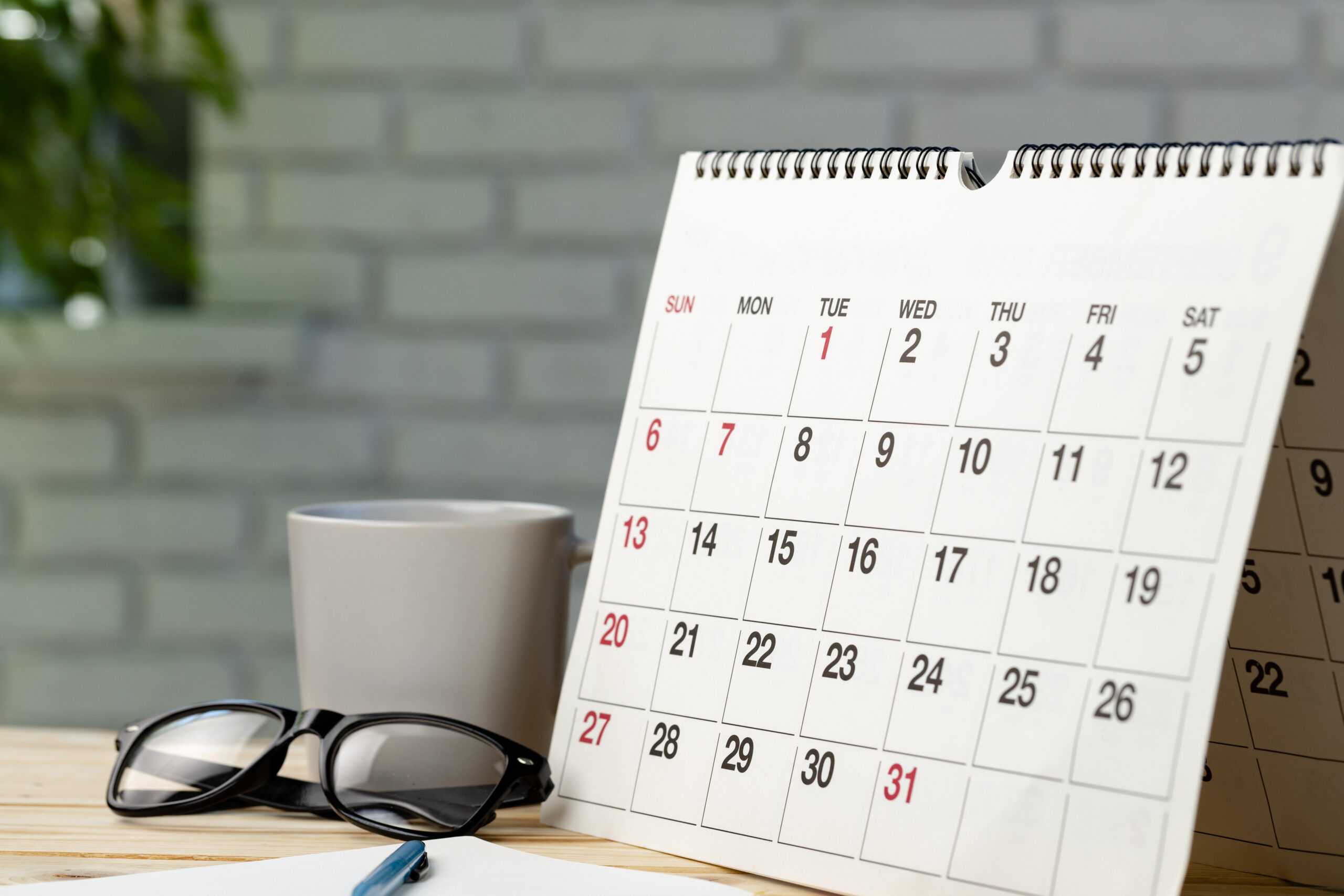 BB_Secondary_Kalender Einnahme ImunoXpert